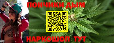 крисы Моздок