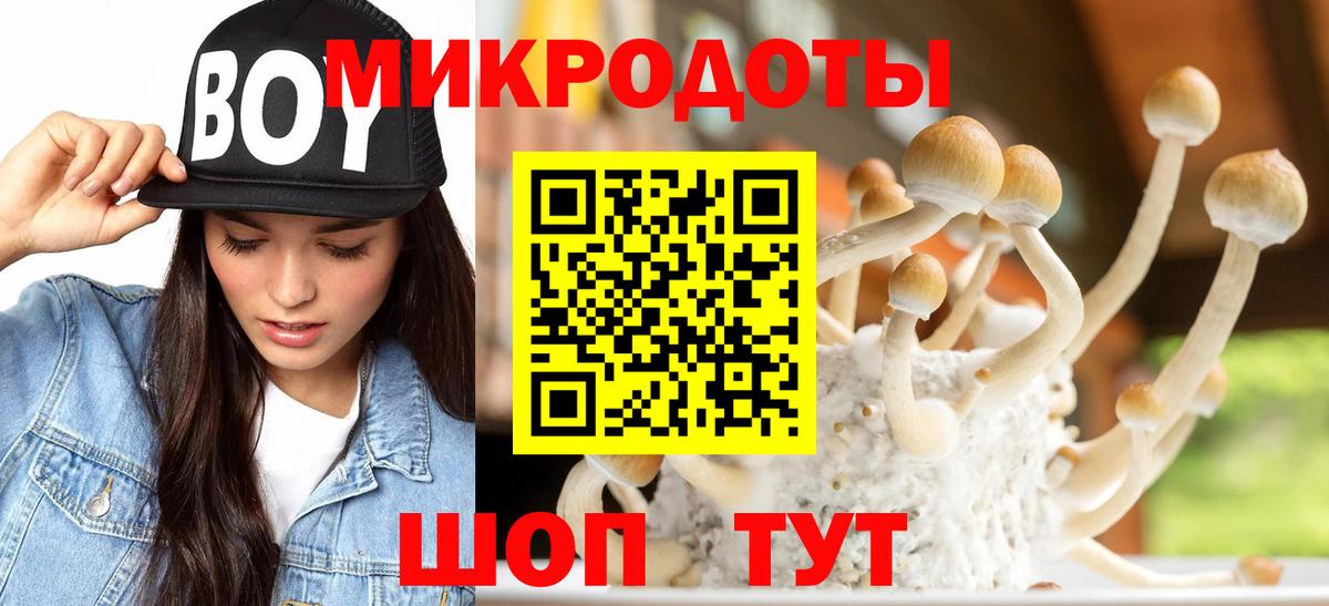 Галлюциногенные грибы GOLDEN TEACHER  Псилоцибиновые грибы Psilocybe  Великий Новгород  Вход с VPN 